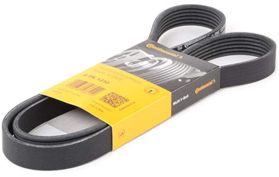 Cinturón múltiple 6PK1310 Contitech