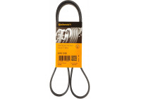 Cinturón múltiple 6PK1318 Contitech
