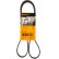 Cinturón múltiple 6PK1318 Contitech