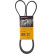 Cinturón múltiple 6PK1400 Contitech