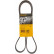 Cinturón múltiple 6PK1413 Contitech
