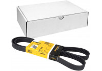 Cinturón múltiple 6PK1460 Contitech