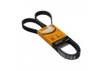 Cinturón múltiple 6PK1538 Contitech