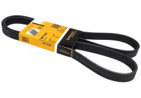 Cinturón múltiple 6PK1555 Contitech