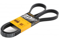 Cinturón múltiple 6PK1564 Contitech