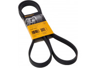 Cinturón múltiple 6PK1613 Contitech