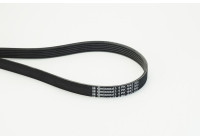 Cinturón múltiple 6PK1642 Contitech