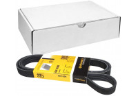 Cinturón múltiple 6PK1698 Contitech