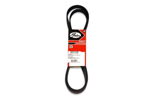Cinturón múltiple 6PK1700 Gates