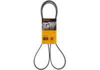 Cinturón múltiple 6PK1705 Contitech