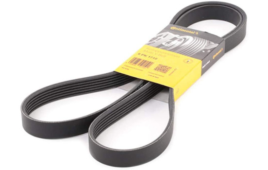 Cinturón múltiple 6PK1710 Contitech
