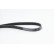 Cinturón múltiple 6PK1710 Contitech, Miniatura 2