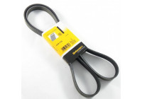 Cinturón múltiple 6PK1733 Contitech