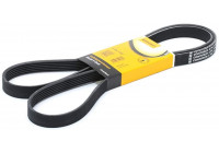 Cinturón múltiple 6PK1750 Contitech