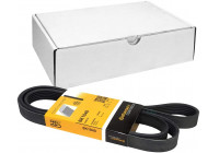 Cinturón múltiple 6PK1840 Contitech