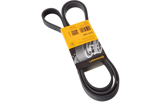 Cinturón múltiple 6PK2080 Contitech