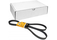 Cinturón múltiple 6PK2115 Contitech