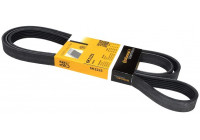 Cinturón múltiple 6PK2225 Contitech