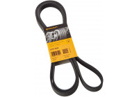 Cinturón múltiple 6PK2460 Contitech