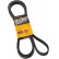 Cinturón múltiple 6PK2460 Contitech
