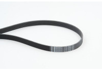 Cinturón múltiple 6PK2490 Contitech
