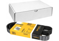 Cinturón múltiple 6PK923 Contitech