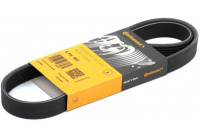 Cinturón múltiple 6PK962 Contitech