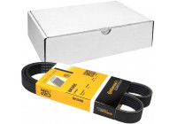 Cinturón múltiple 6PK986 Contitech