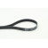 Cinturón múltiple 7PK1570 Contitech, Miniatura 2