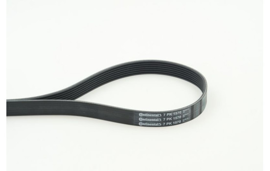 Cinturón múltiple 7PK1570 Contitech, Imagen 2