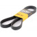 Cinturón múltiple 7PK1629 Contitech