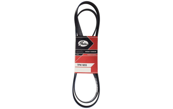 Cinturón múltiple 7PK1855 Gates