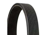 Cinturón múltiple 8DPK1833 Contitech