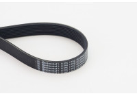 Cinturón múltiple 8PK1162 EXTRA Contitech