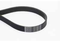 Cinturón múltiple 8PK2035 Contitech