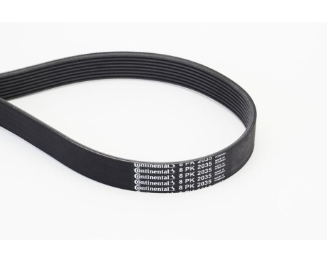 Cinturón múltiple 8PK2035 Contitech