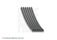 Cinturón múltiple AD06R1206 Blue Print