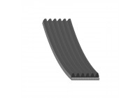 Cinturón múltiple AD06R1795 Blue Print