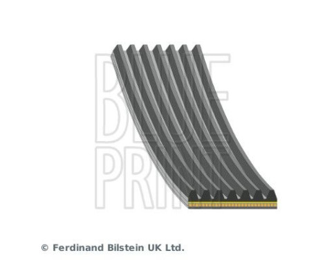 Cinturón múltiple AD07R1065 Blue Print
