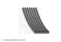 Cinturón múltiple AD07R1240 Blue Print