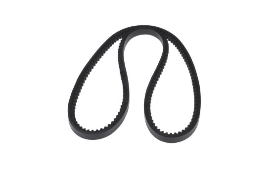 Cinturón múltiple AD10V960 Blue Print