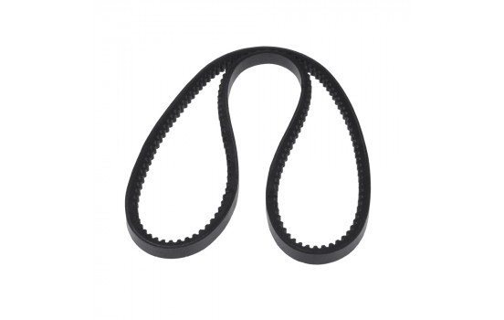 Cinturón múltiple AD13V1200 Blue Print