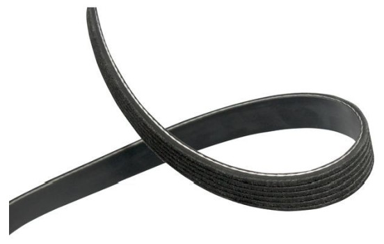 Cinturón múltiple DMV-4550 Kavo parts, Imagen 2