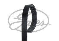 Cinturón múltiple K050590RPM Gates