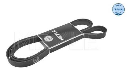 Cinturón múltiple, Imagen 2