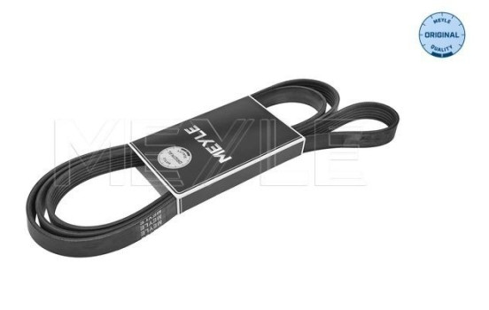 Cinturón múltiple, Imagen 2