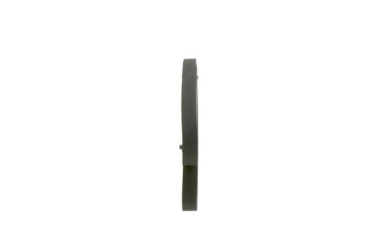 Cinturón múltiple, Imagen 2