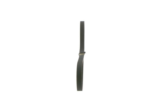 Cinturón múltiple, Imagen 2