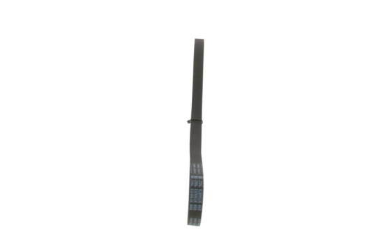 Cinturón múltiple, Imagen 2