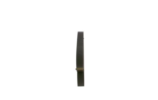Cinturón múltiple, Imagen 2